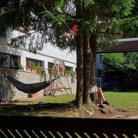 Randunica Hotel Văliug Екстериор снимка