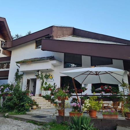 Randunica Hotel Văliug Екстериор снимка