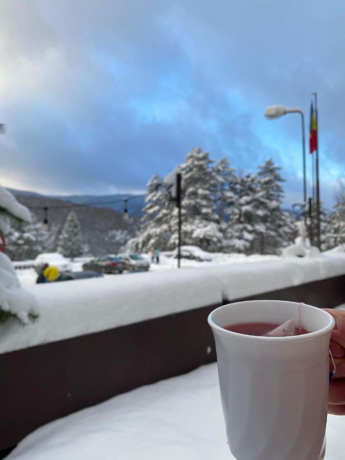 Randunica Hotel Văliug Екстериор снимка