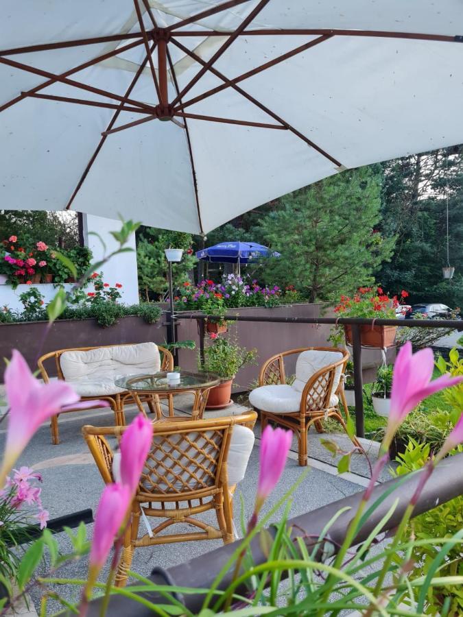 Randunica Hotel Văliug Екстериор снимка