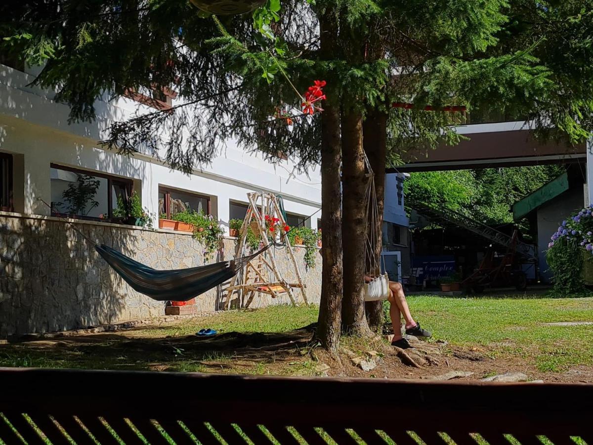Randunica Hotel Văliug Екстериор снимка