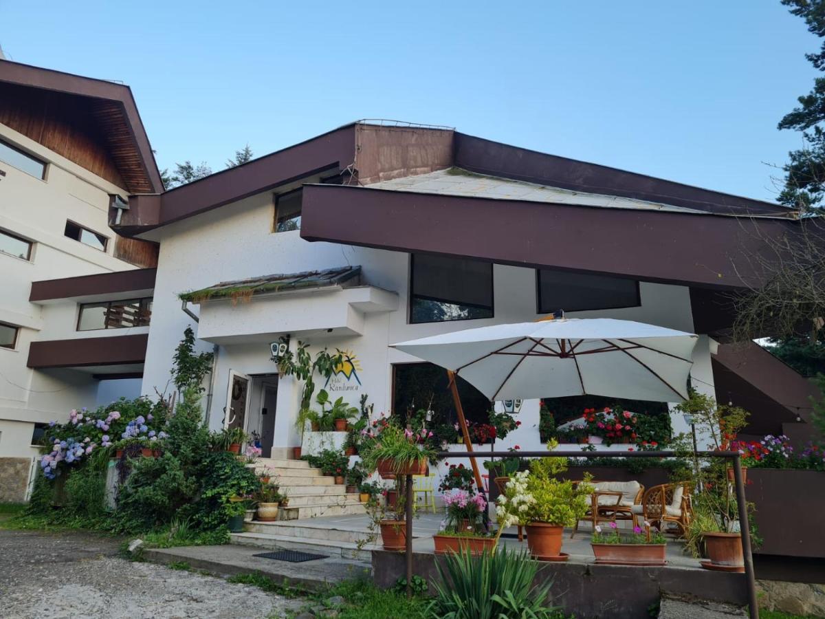 Randunica Hotel Văliug Екстериор снимка