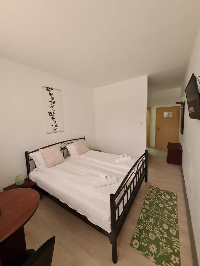 Randunica Hotel Văliug Екстериор снимка